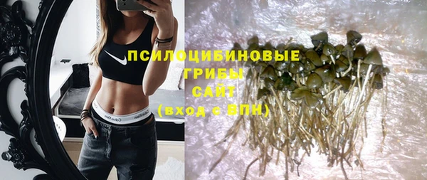 прущая мука Армянск