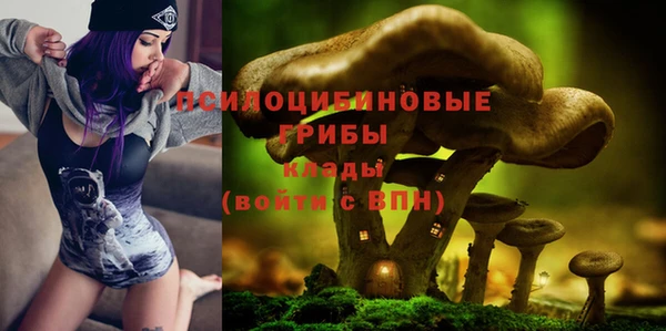 прущая мука Армянск