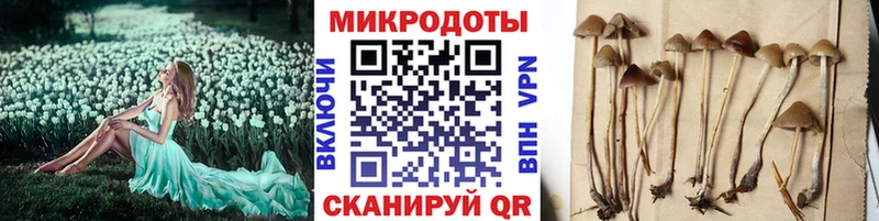 Псилоцибиновые грибы прущие грибы  Макушино 